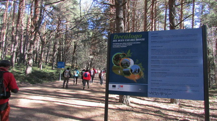 Marcha mujer senderista 016