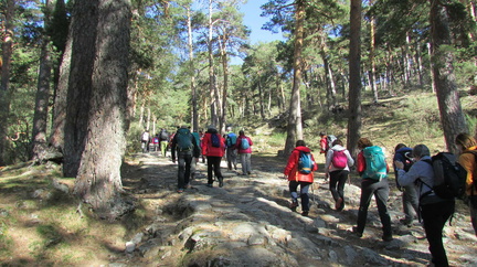 Marcha mujer senderista 026
