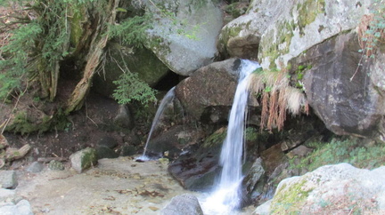 Marcha mujer senderista 037
