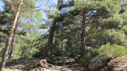 Marcha mujer senderista 046