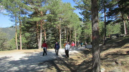 Marcha mujer senderista 047