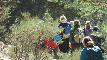 Marcha mujer senderista 054