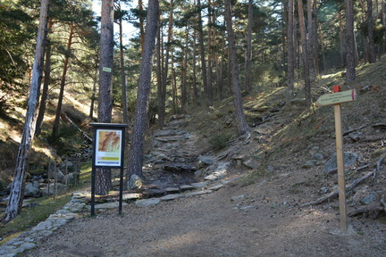 2019-03-30 Marcha Mujer Senderista-220