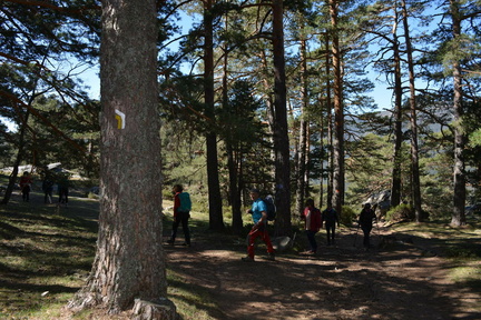 2019-03-30 Marcha Mujer Senderista-232