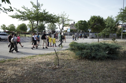 circular paracuellos 04