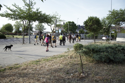 circular paracuellos 05