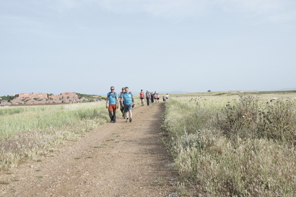 circular paracuellos 12