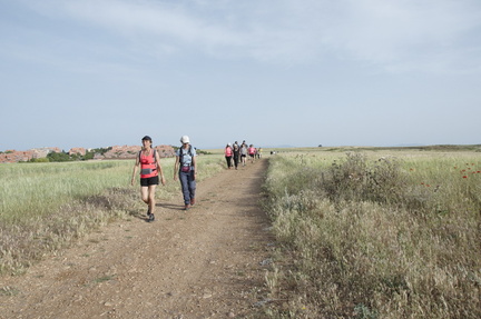 circular paracuellos 13