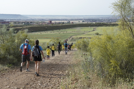 circular paracuellos 15