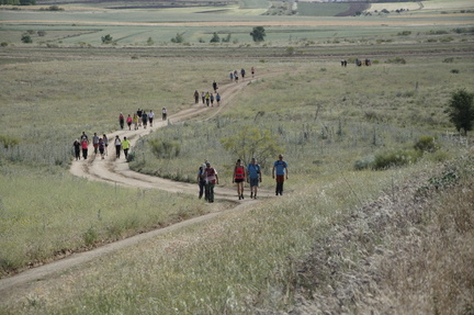 circular paracuellos 17