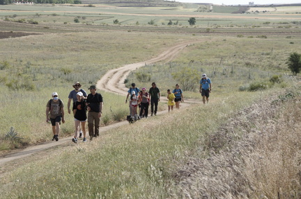 circular paracuellos 21