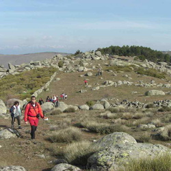 2009-02-21 Recorrido por la Sierra de San Vicente y Ascensión al Cerro de San Vicente y Cerro Cruces (Sierra San Vicente. Toledo)
