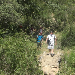 2010-07-17 Peñalba (Sierra de Ayllón)