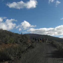 2011-02-20 Ascensión al Pico Somosierra (Sierra de Ayllón)
