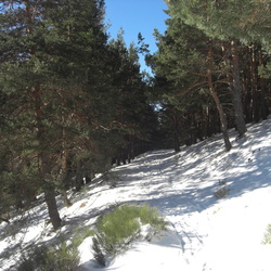 2012-02-11 Ascensión al Pico del Nevero (Sierra de Guadarrama)