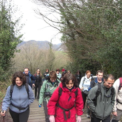 2012-04-29 El Bosque de Peloño (Asturias)
