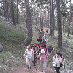 2012-06-02 Dia Autonómico de Senderismo - Ascensión al Pico Peñalara por Citores (Sierra Guadarrama)