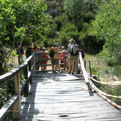 2012-07-22 Las Carboneras de la Hiruela (Sierra de Ayllón)
