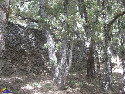 Ruinas-de-Pinarejo-08