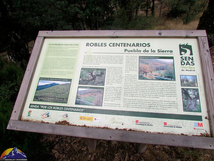 Puebla-de-la-Sierra-Peña-la-Cabra-013
