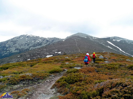 Las Dehesas de Cercedilla-La Pinareja-37